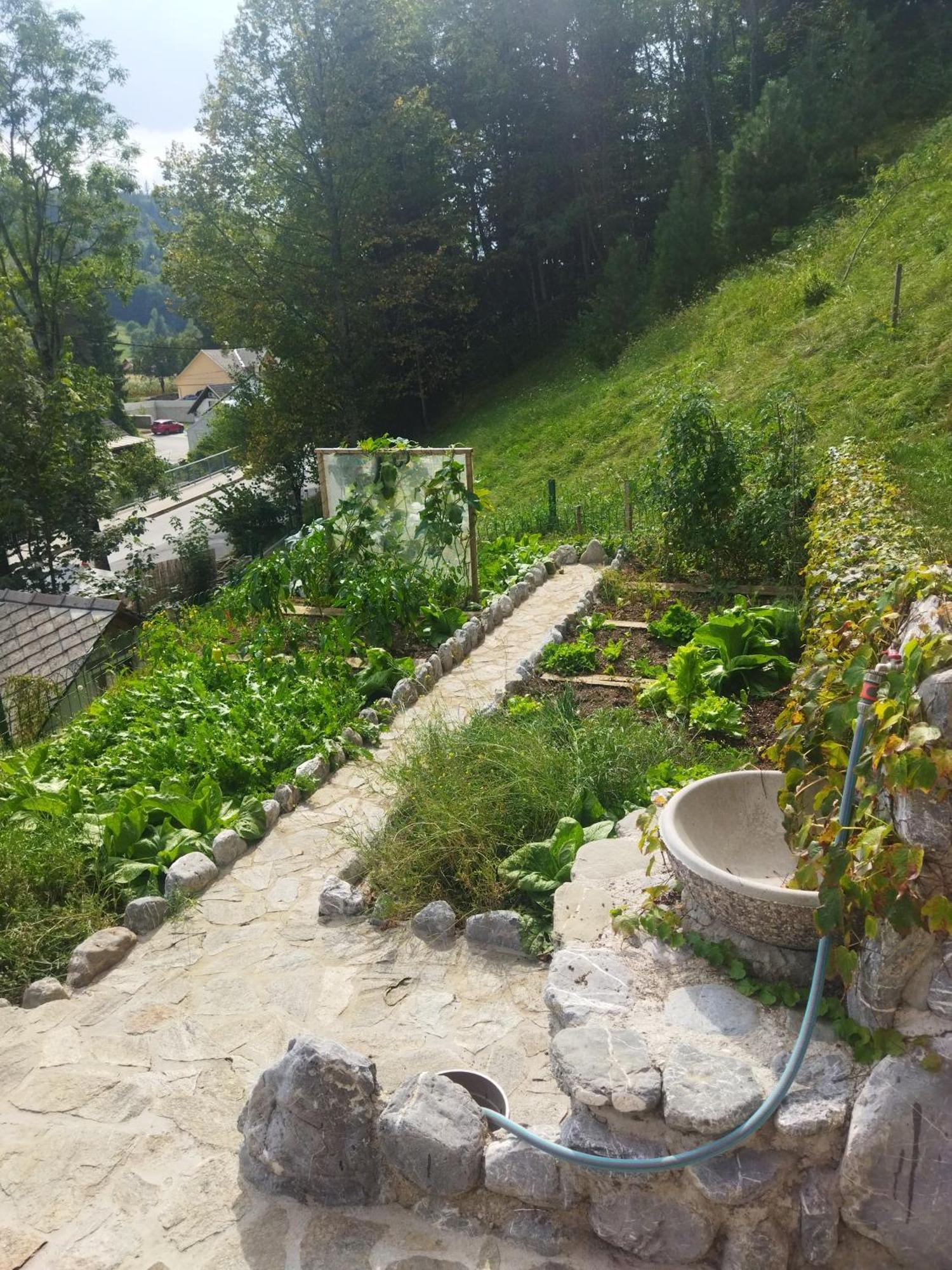 Natur Apartma Rudi Begunje na Gorenjskem Zewnętrze zdjęcie